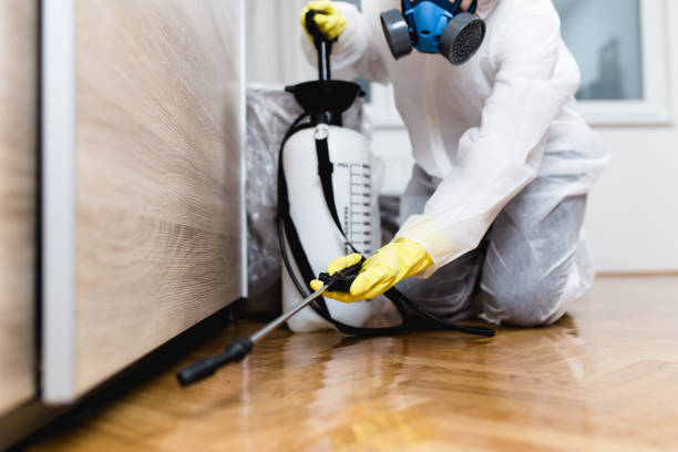 Best Exterminator Services  in Jefferson, NC