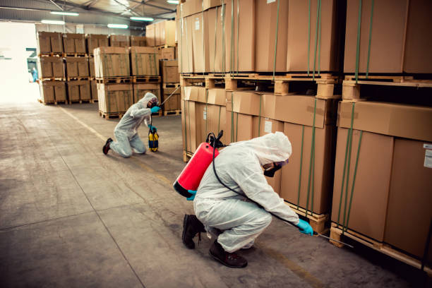 Best Local Pest Control Services  in Jefferson, NC
