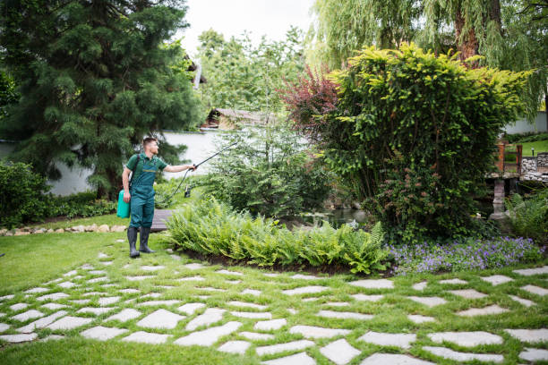 Best Pest Control Treatment  in Jefferson, NC
