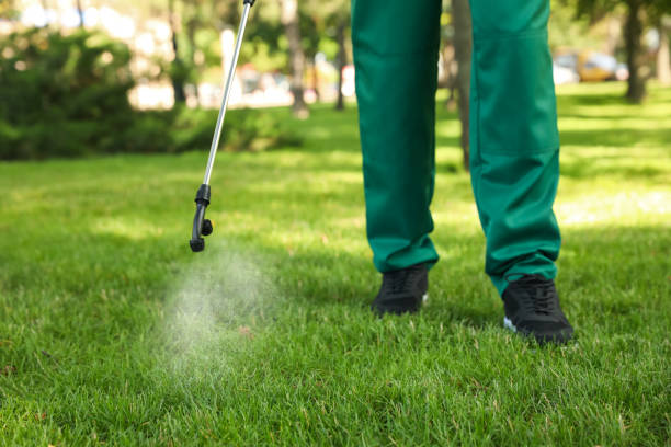 Best Mosquito Control Services  in Jefferson, NC