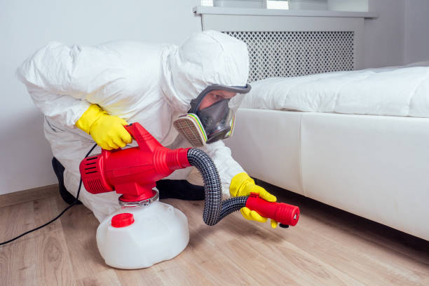 Best Bed Bug Extermination  in Jefferson, NC