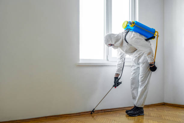 Trusted Jefferson, NC Pest Control Experts