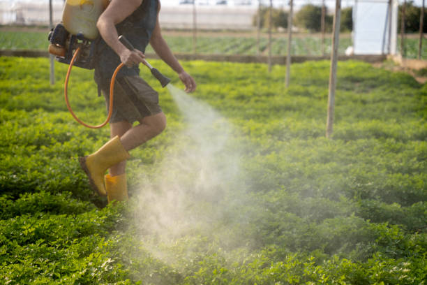Best Affordable Pest Control Services  in Jefferson, NC