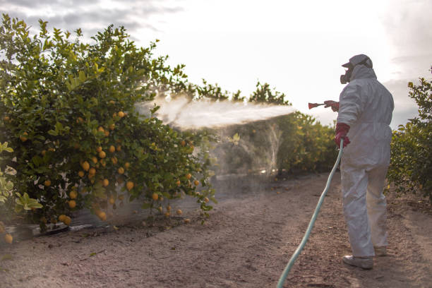 Best Cockroach Control Services  in Jefferson, NC