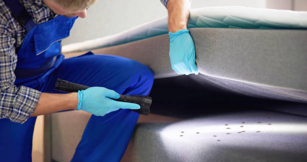 Best Affordable Pest Control Services  in Jefferson, NC