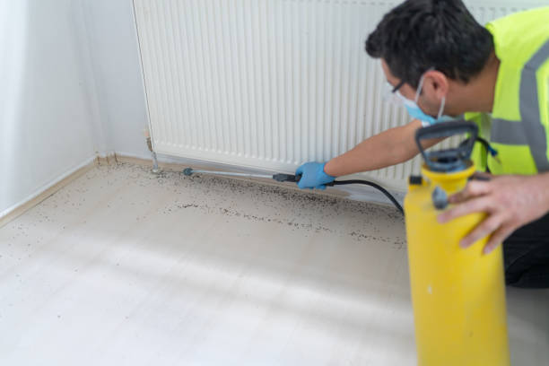 Best Pest Prevention Services  in Jefferson, NC